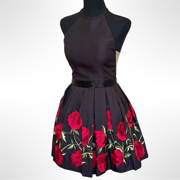 Sherri Hill Dress (53023) - Size 2. (SEE VIDEO) - Picture 4 of 10